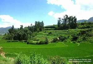 178 - Shaxi